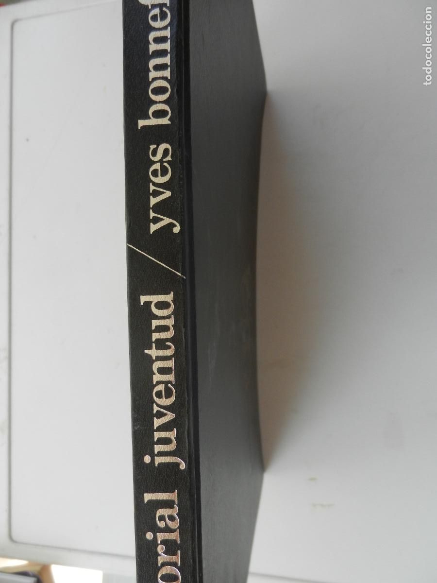 Libros de segunda mano: MIR&Oacute; - YVES BONNEFOY - EDITORIAL JUVENTUD 1971- PASTA DURAS GRAN FORMATO