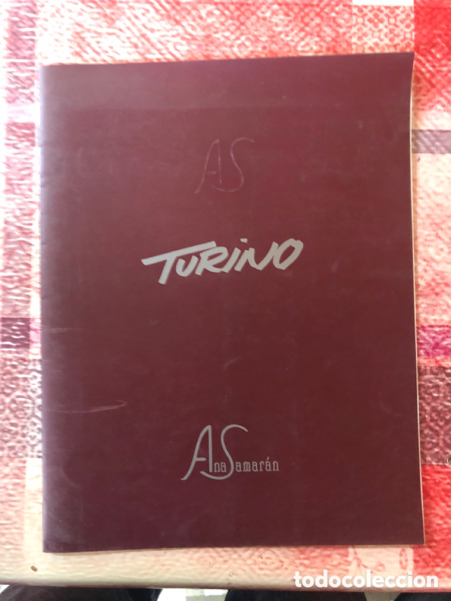 Libros de segunda mano: Cat&aacute;logo del pintor turino