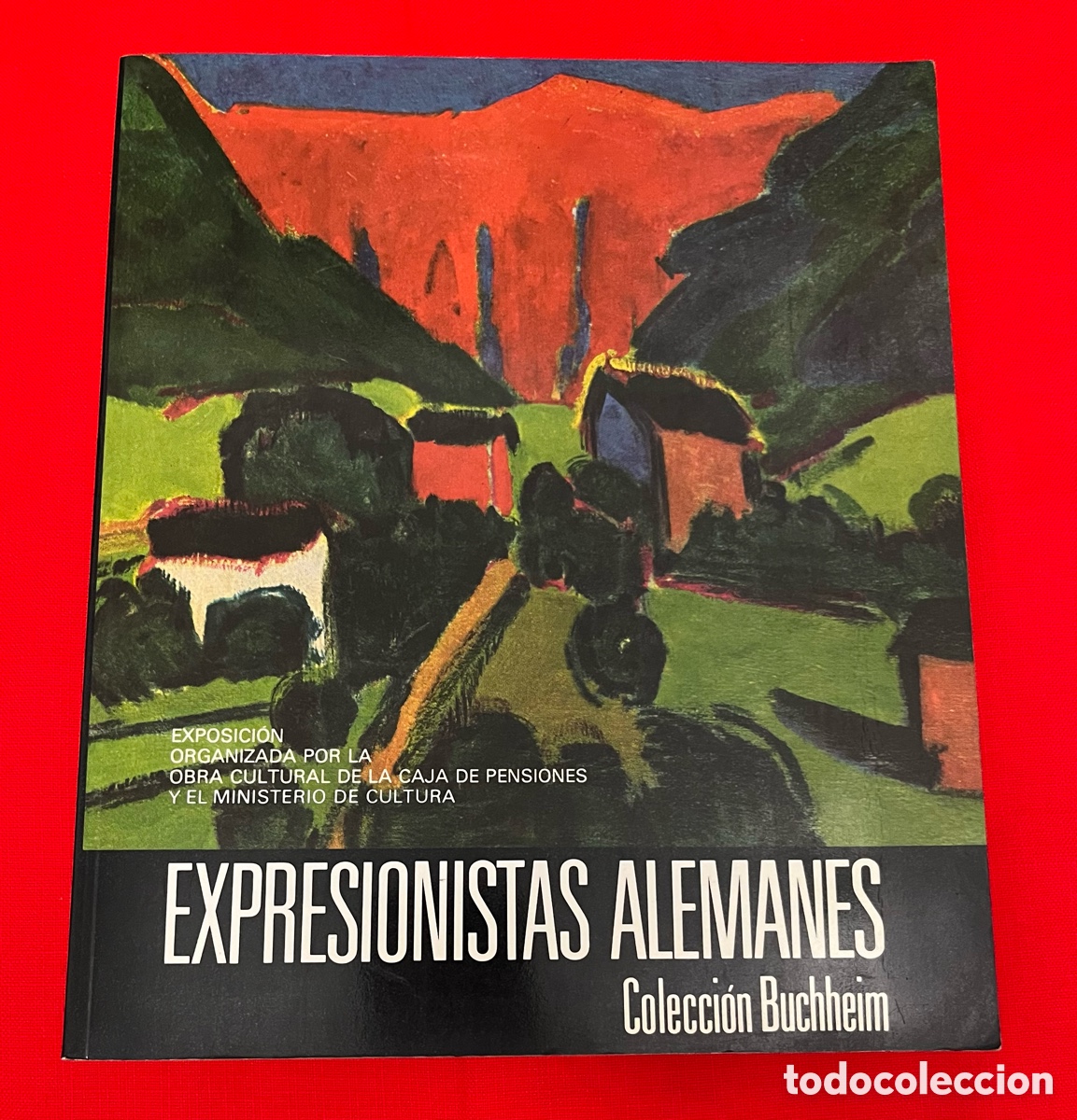 Libros de segunda mano: Libro Expresionistas Alemanes - Colecci&oacute;n Buchheim