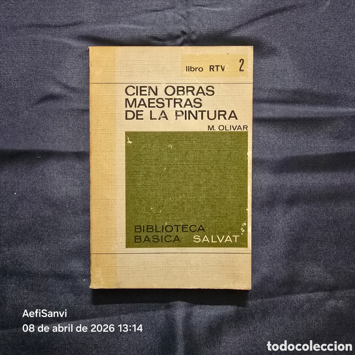 Libros de segunda mano: RTV 2: CIEN OBRAS MAESTRAS DE LA PINTURA (M. OLIVAR) (SALVAT)
