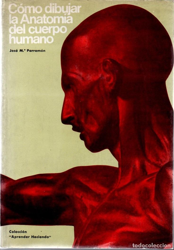 Libros de segunda mano: COMO DIBUJAR LA ANATOM&Iacute;A DEL CUERPO HUMANO (PARRAM&Oacute;N, 1970)