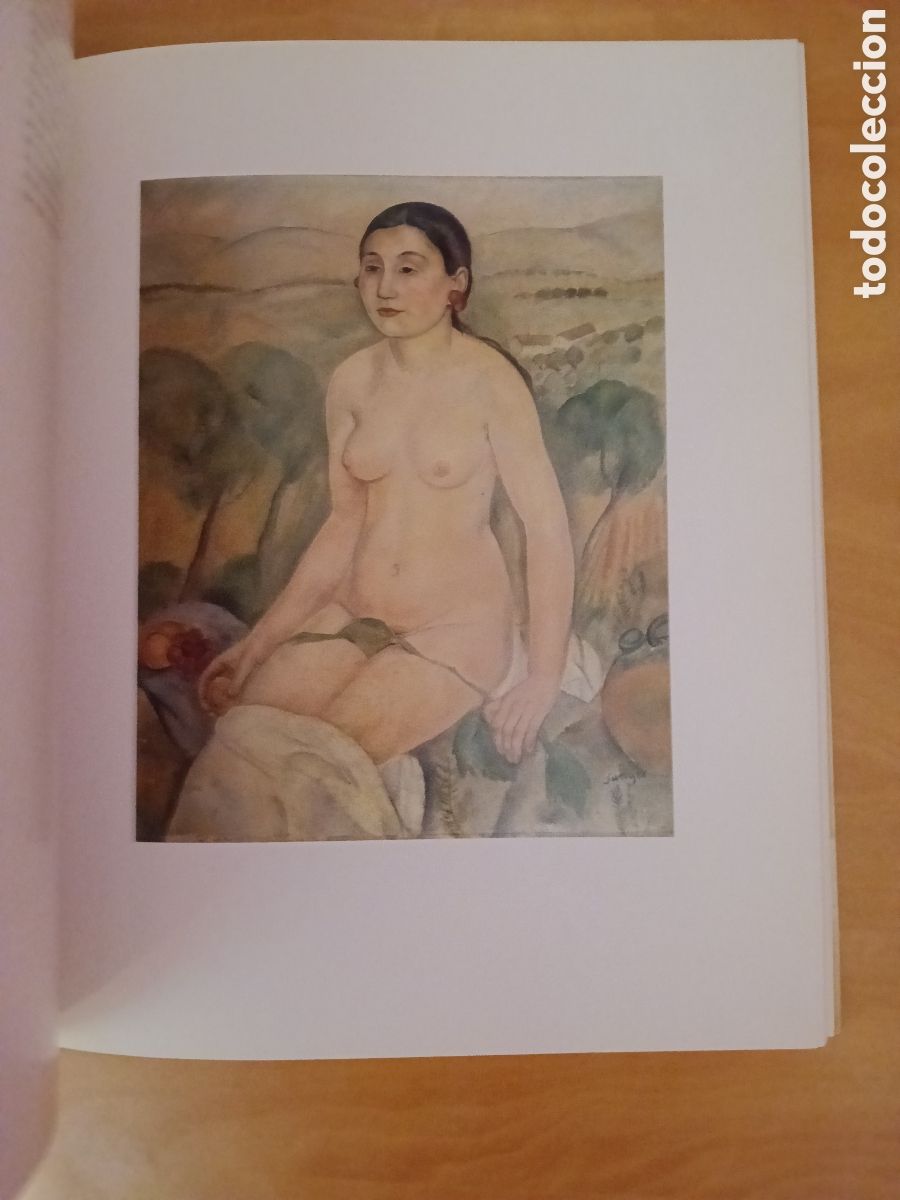 Libros de segunda mano: Joaqu&iacute;n Sunyer, oferta del mes , - Foto 4