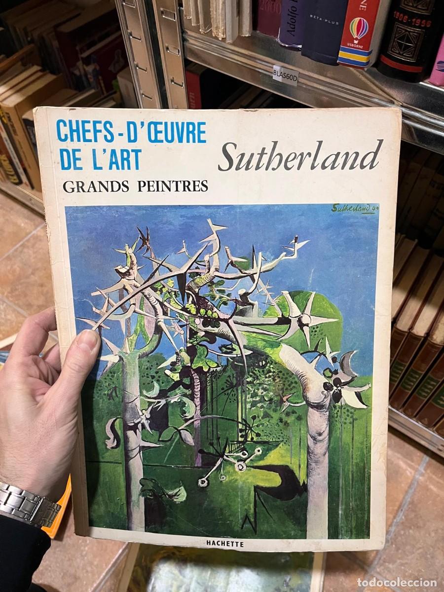 Libros de segunda mano: BLAS60D libro de arte en franc&eacute;s CHEFS-D'&OElig;UVRE DE L'ART GRANDS PEINTRES Sutherland