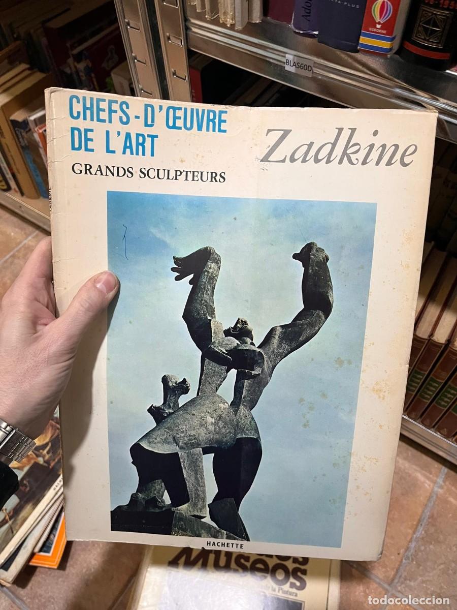 Libros de segunda mano: BLAS60D libro de arte en franc&eacute;s CHEFS-D'&OElig;UVRE DE L'ART GRANDS PEINTRES zadkine