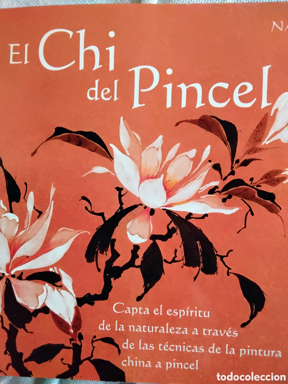 Libros de segunda mano: EL CHI DEL PINCEL. NAN RAE