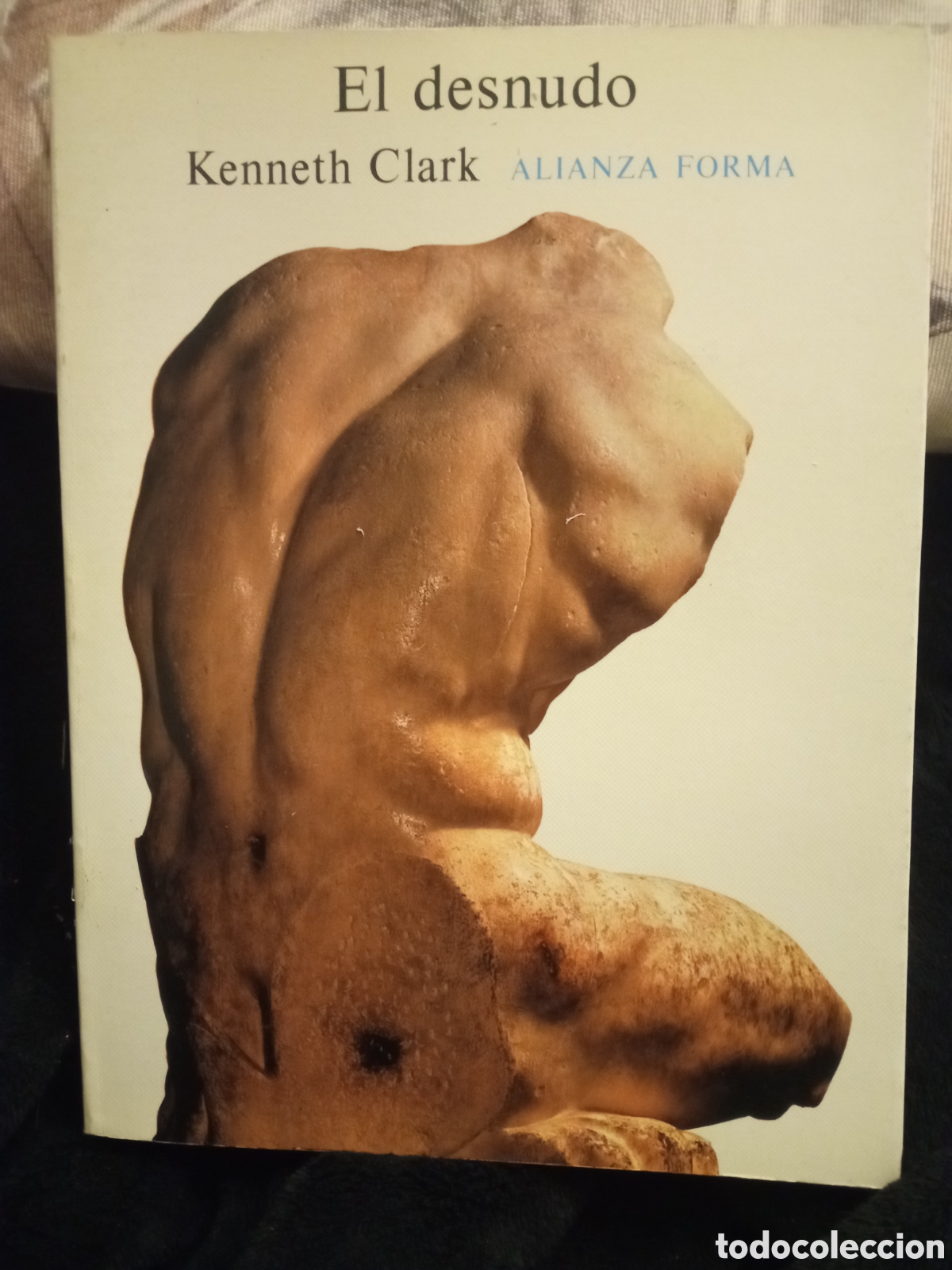 Libros de segunda mano: El Desnudo por Kenneth Clark, Tapa blanda 425 p&aacute;gina