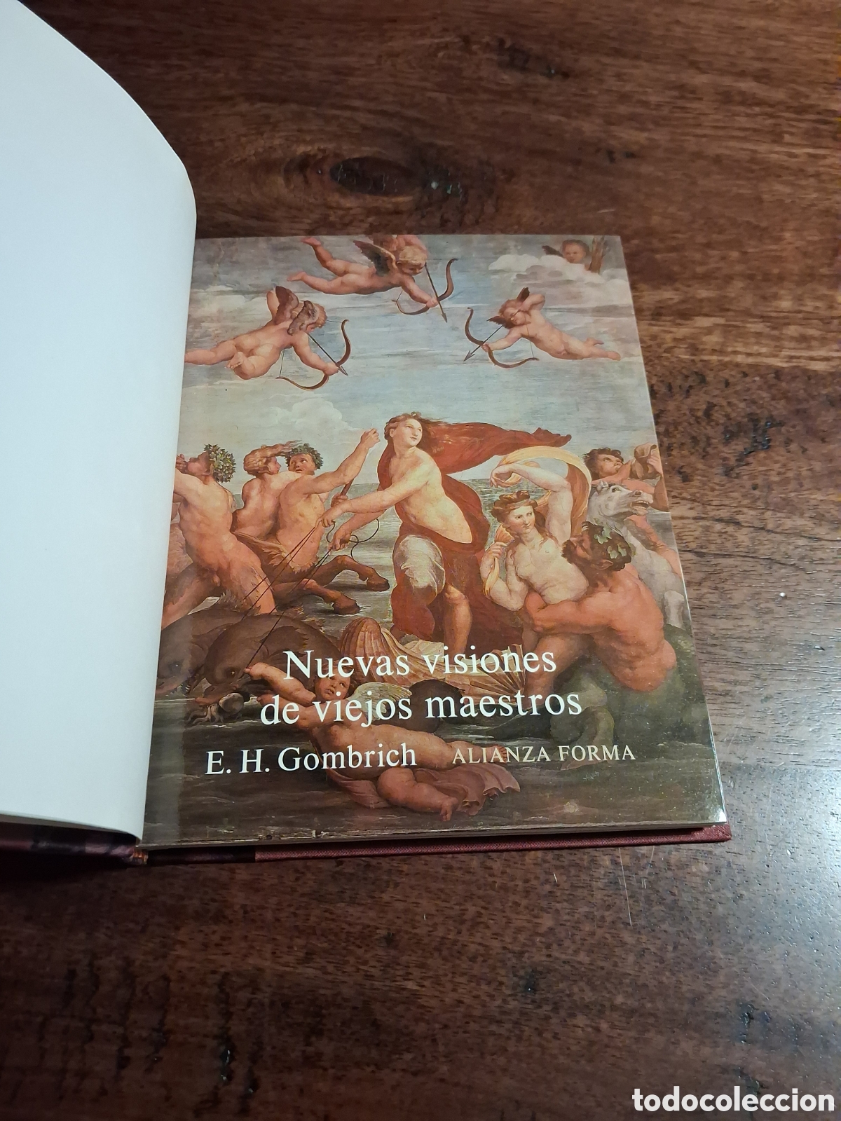 Libros de segunda mano: Nuevas visiones de viejos maestros, E.H.Gombrich