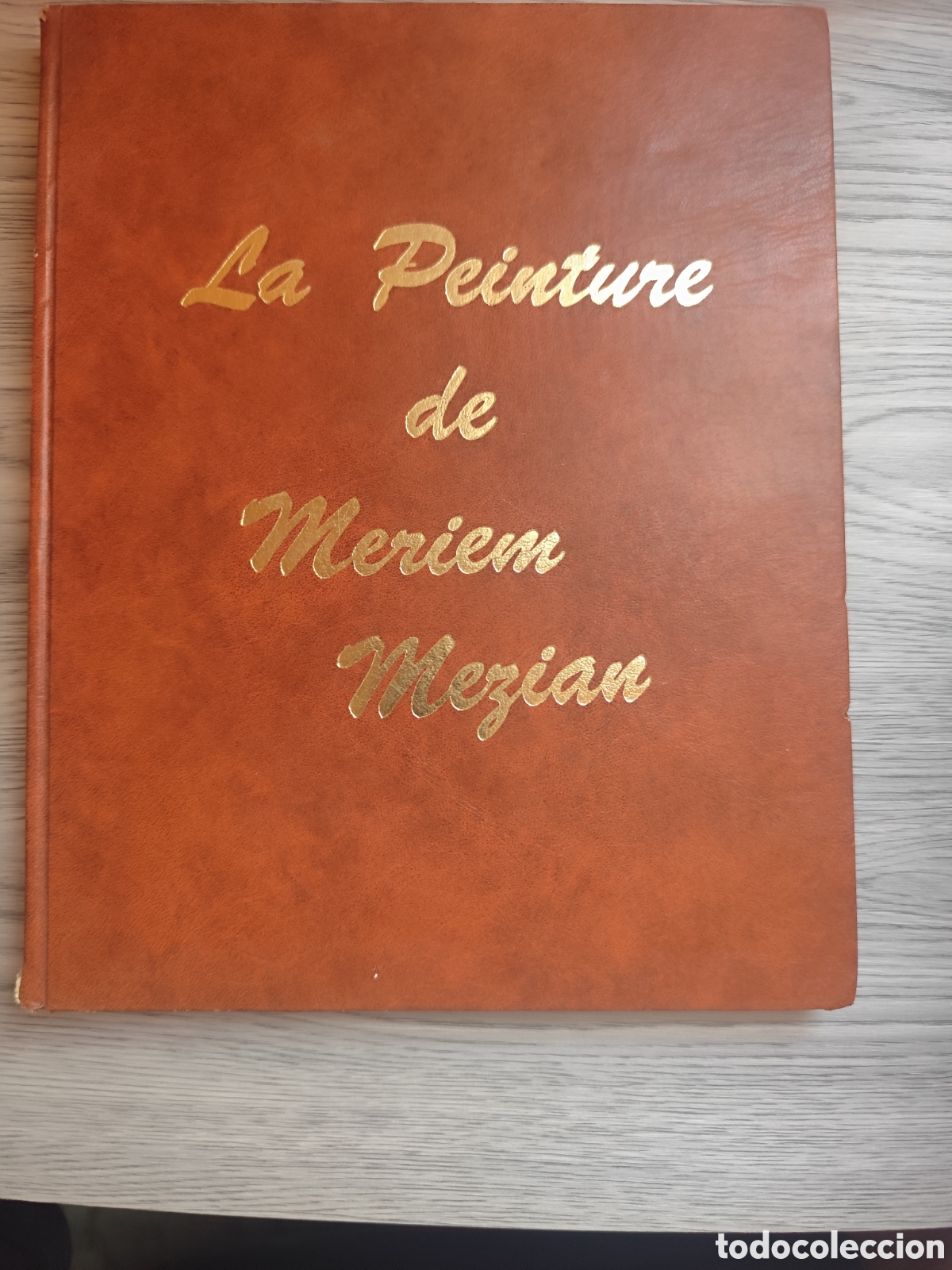 Gebrauchte B&uuml;cher: LA PINTURE DE MERIEM MEZIAM RF139