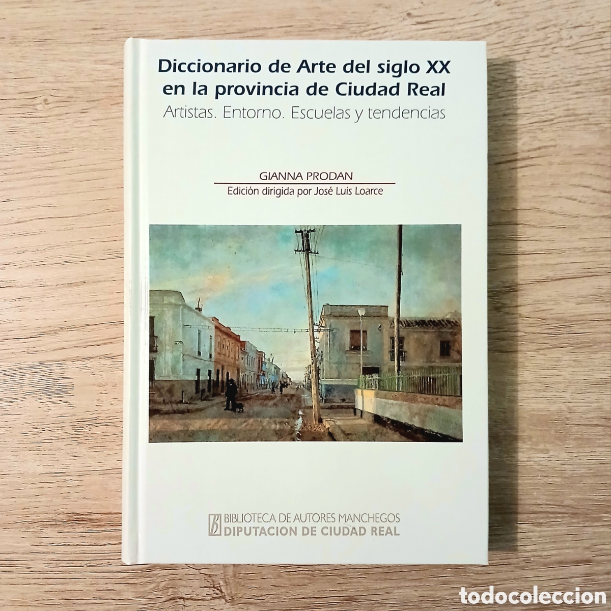 Libros de segunda mano: Diccionario del Arte del siglo XX en la provincia de Ciudad Real