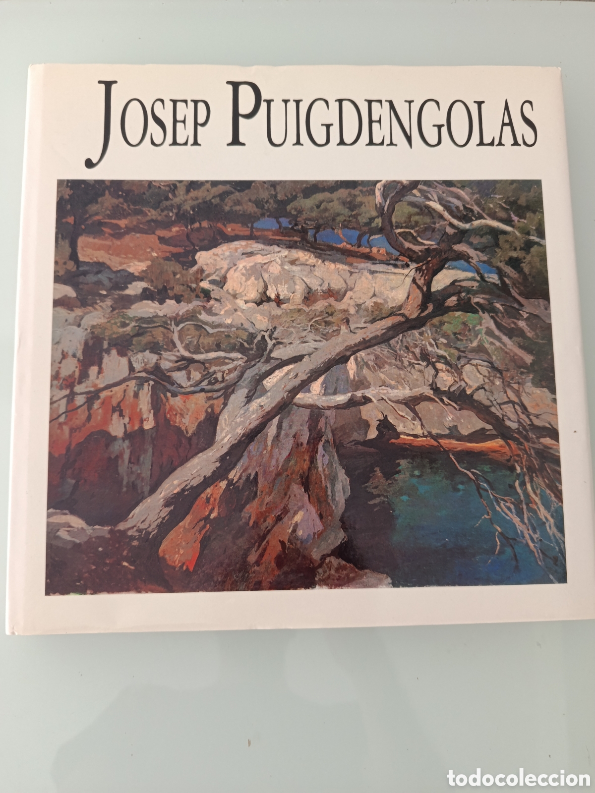 Libros de segunda mano: JOSEP PUIGDENGOLAS EDICI&Oacute;N NUMERADA
