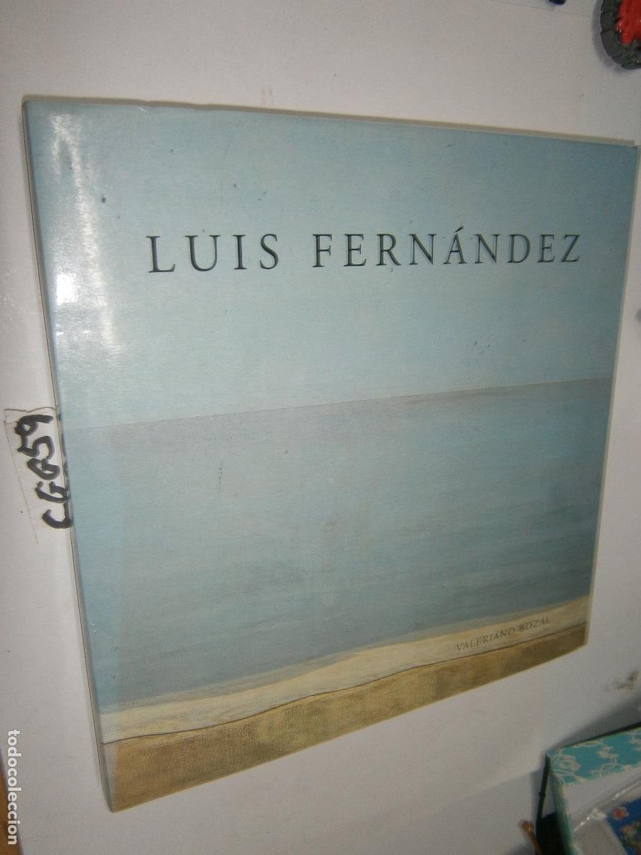 Libros de segunda mano: ESPECTACULAR LIBRO PINTOR - LUIS FERNANDEZ (GRAN VOLUMEN Y PESO)
