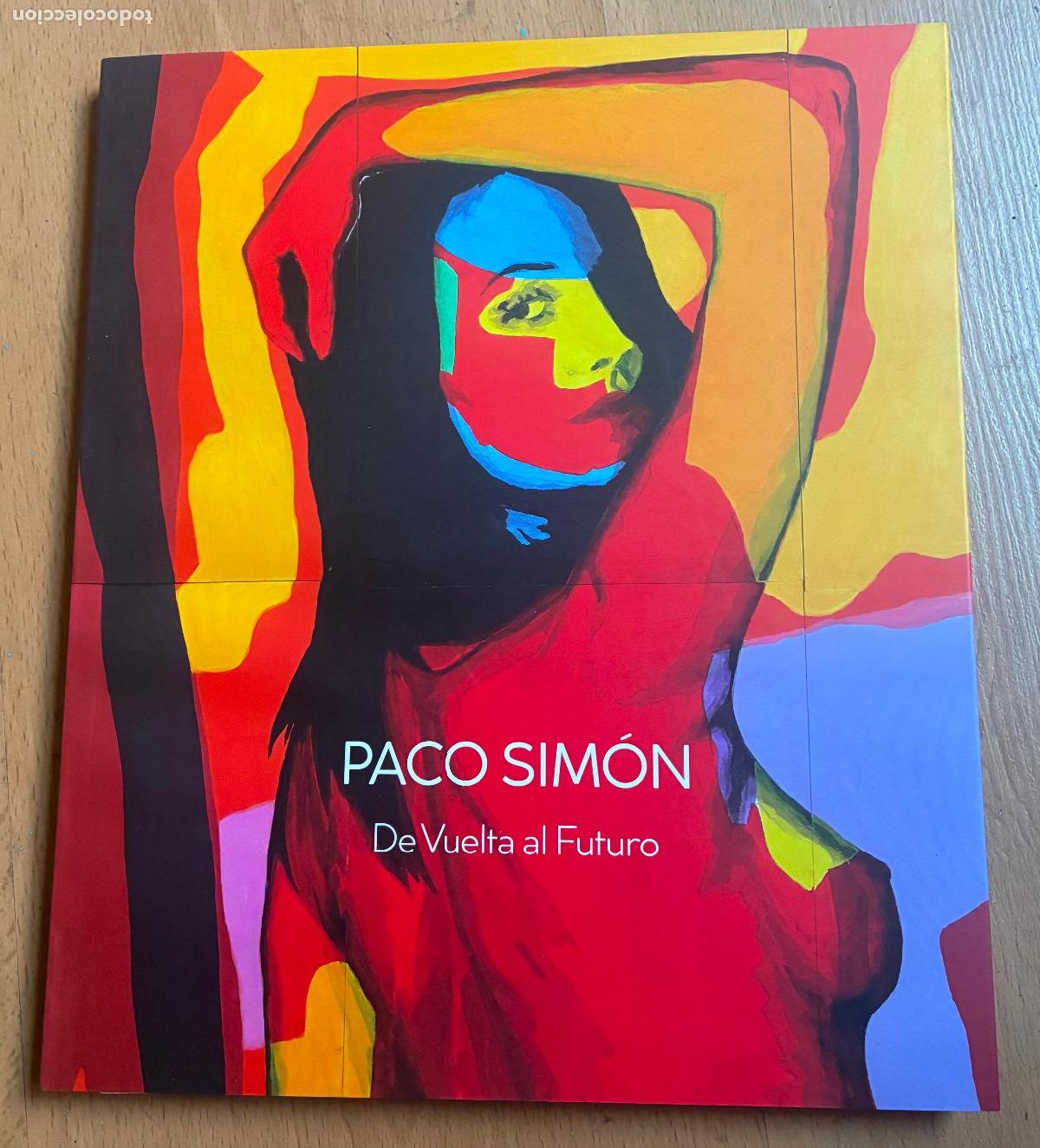 Gebrauchte B&uuml;cher: PACO SIMON DE VUELTA AL FUTURO,