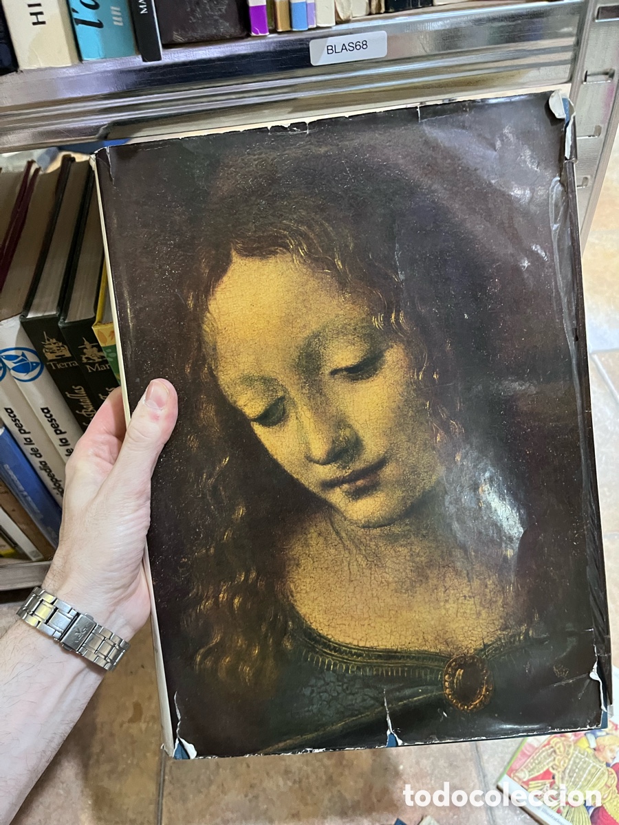 Libros de segunda mano: Blas68 LA PINTURA ITALIANA (carroggio) SEGUNDO VOLUMEN EL RENACIMIENTO