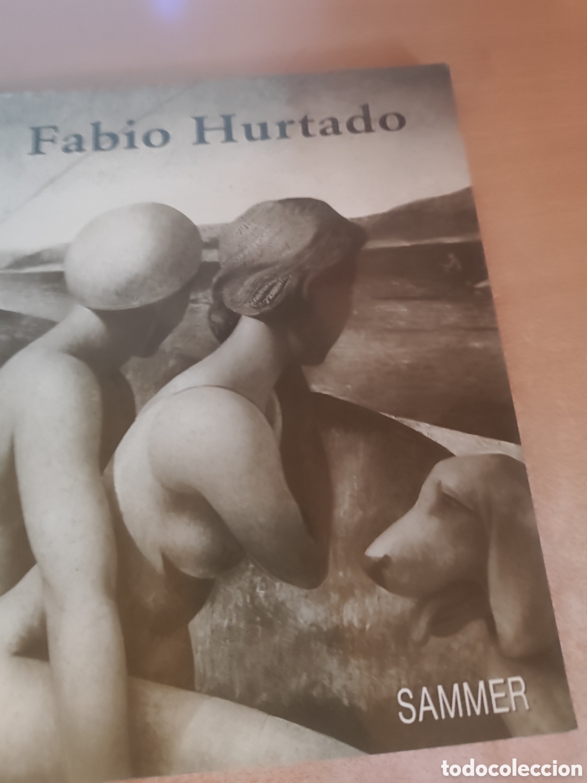 Libros de segunda mano: FABIO HURTADO REFERENCIA305G - Foto 1