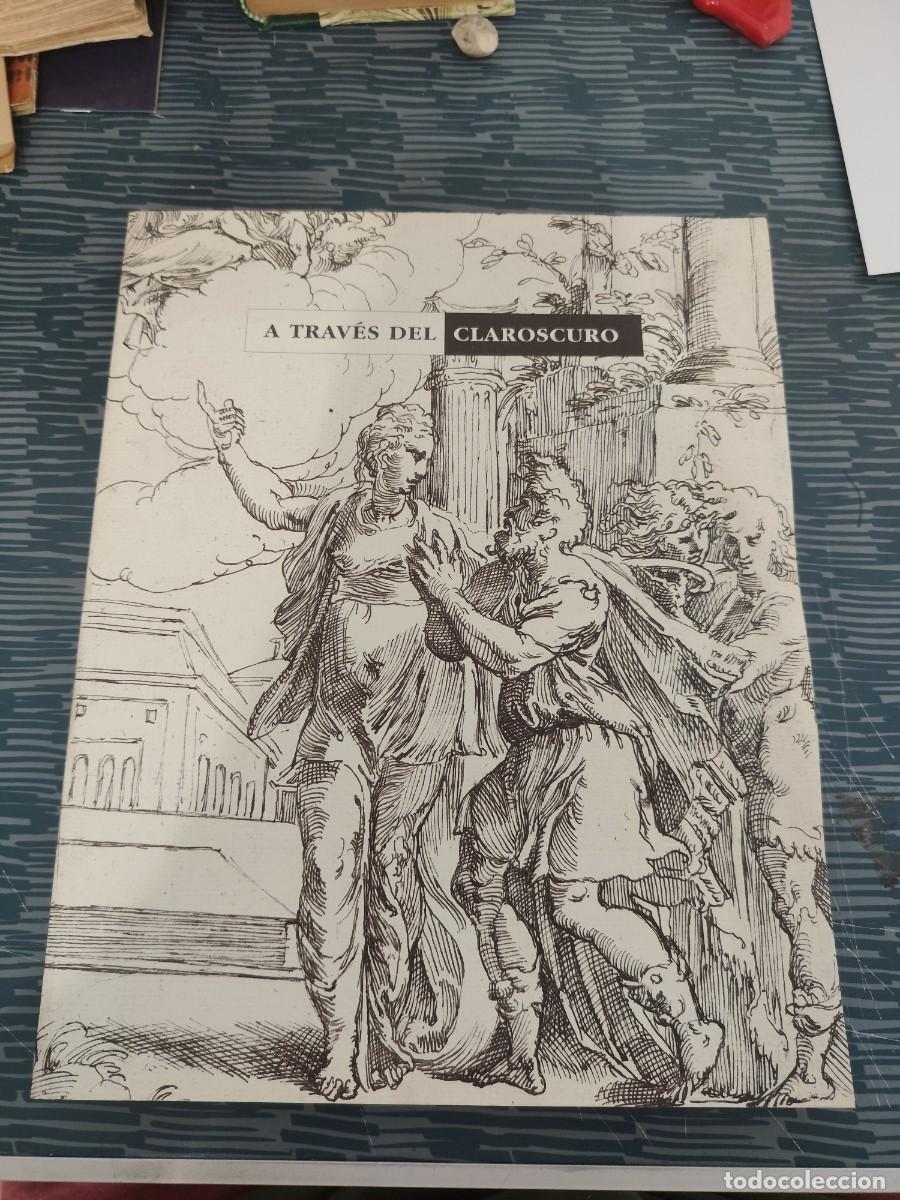 Libros de segunda mano: A TRAVES DEL CLAROSCURO,LUZ Y SOMBRA EN EL DIBUJO DEL SIGLO XVI AL XX,1996,262 PAGINAS.