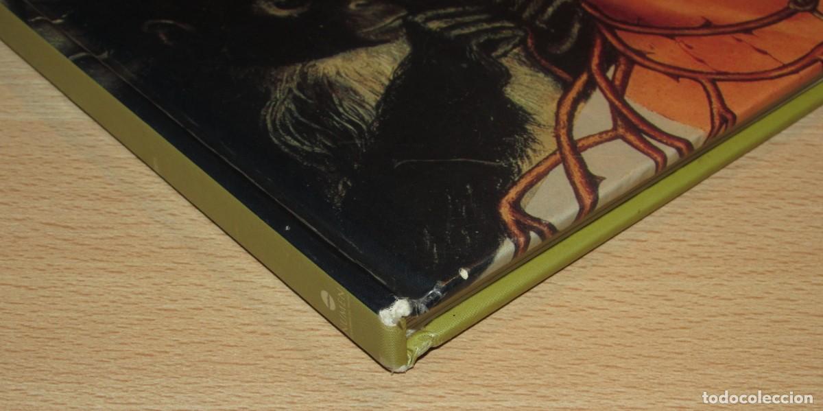 Libros de segunda mano: Kahlo (Frida) Numen 2005 - Foto 7