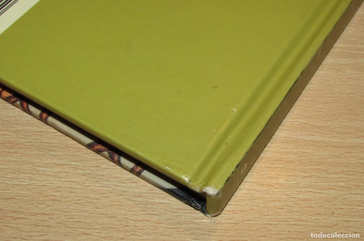 Libros de segunda mano: Kahlo (Frida) Numen 2005 - Foto 12