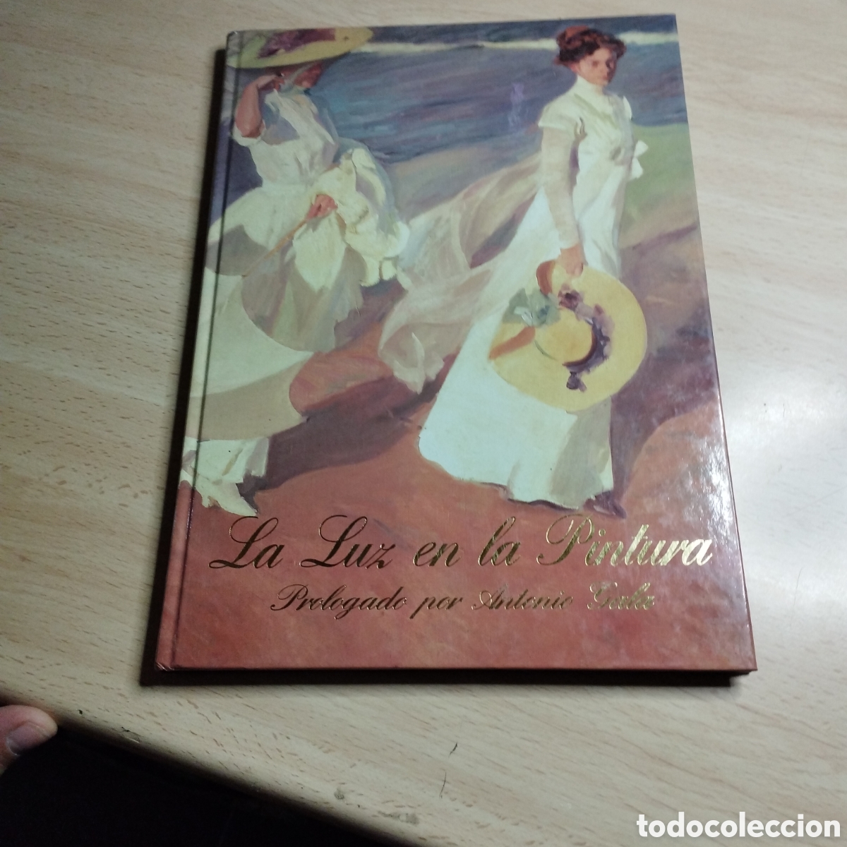 Libros de segunda mano: La luz en la pintura. Pr&oacute;logo: Antonio Gala. 1998. Carroggio