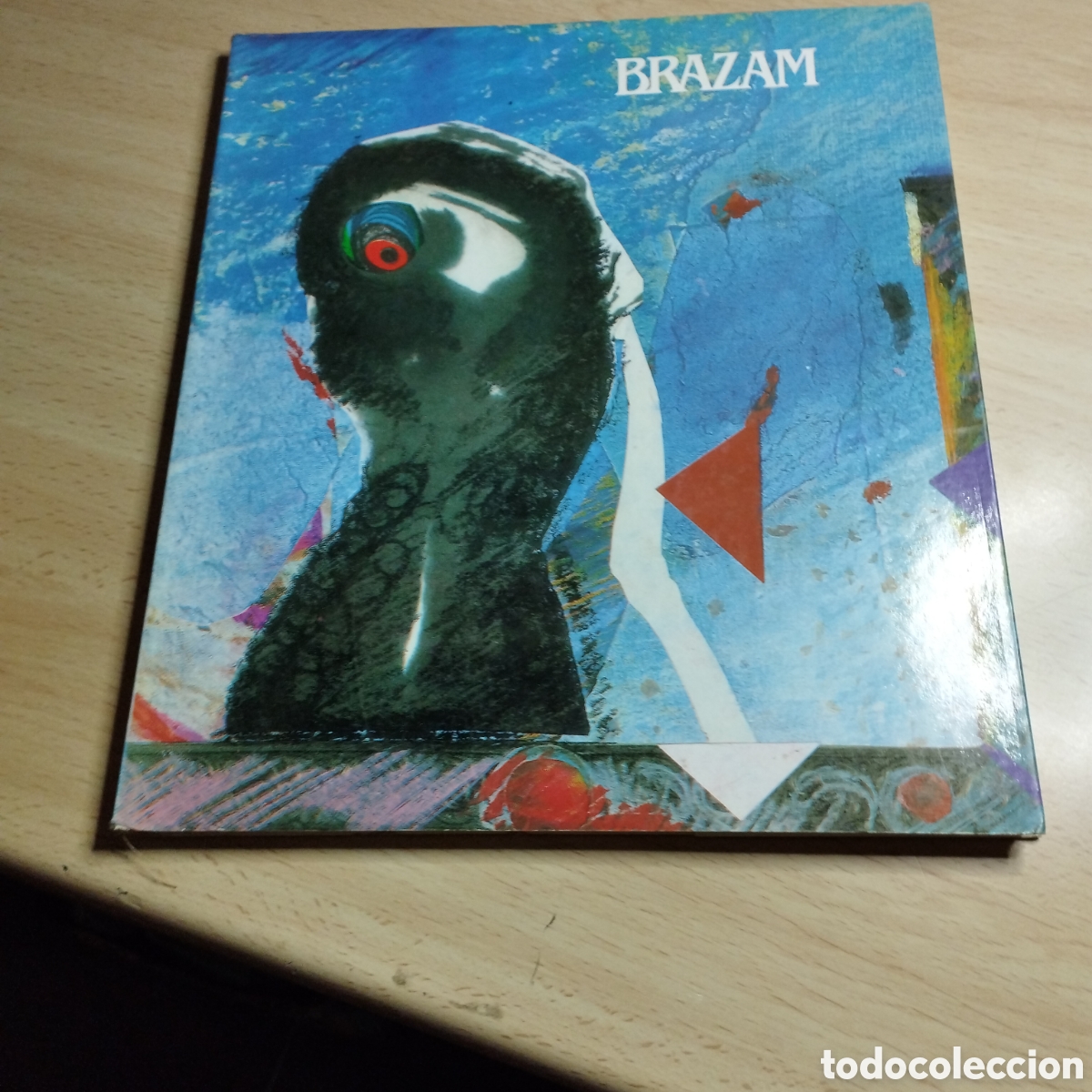 Libros de segunda mano: Juan Manuel Brazam. Palacio. Casa de Vacas 1990. Exposici&oacute;n Pintura