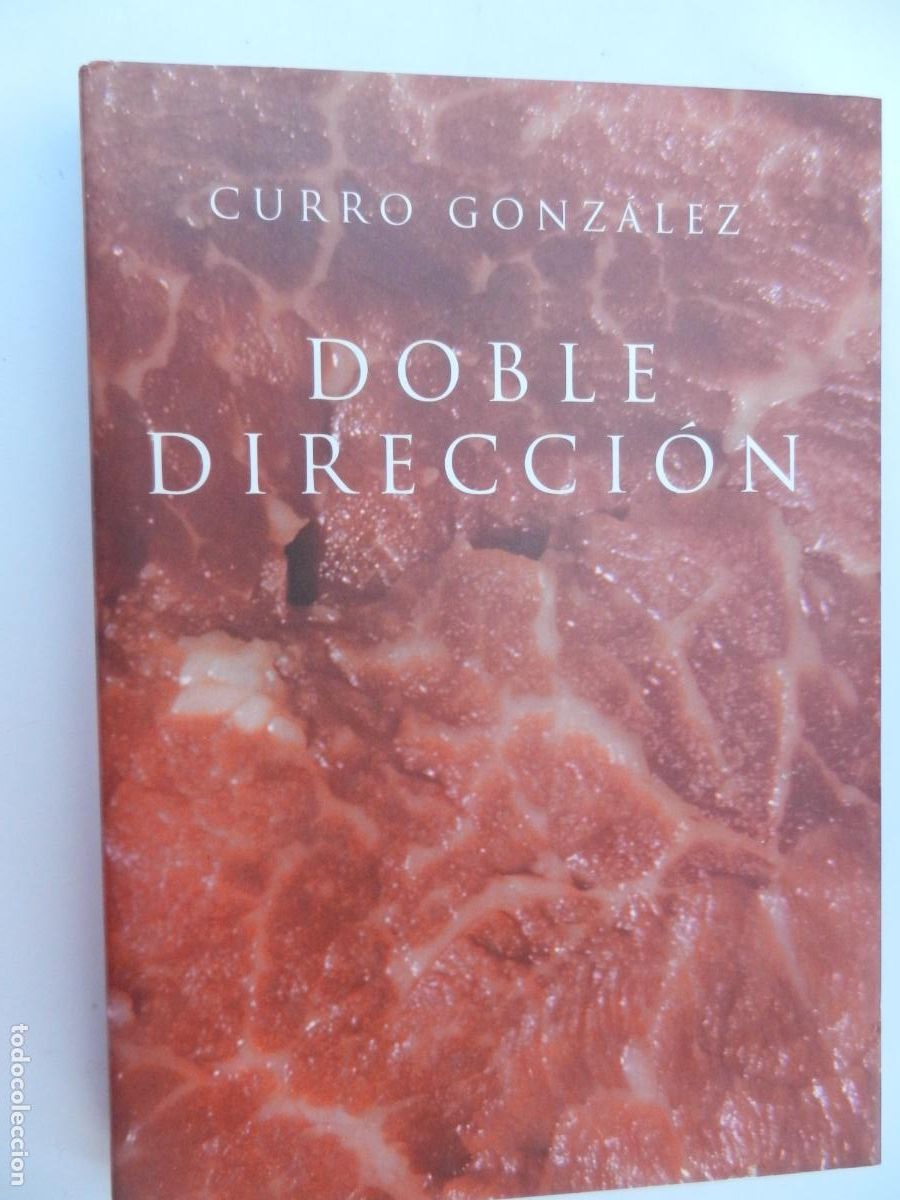 Libros de segunda mano: DOBLE DIRECCI&Oacute;N - CURRO GONZ&Aacute;LEZ - FUND. LUIS CERNUDA - DIPUTACI&Oacute;N DE SEVILLA 1994.