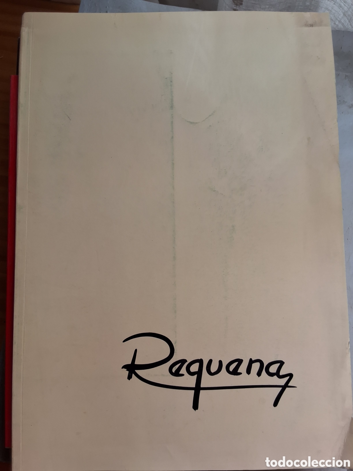 Libros de segunda mano: Rafael Requena catalogo exposici&oacute;n pintura a&ntilde;o 1991/4