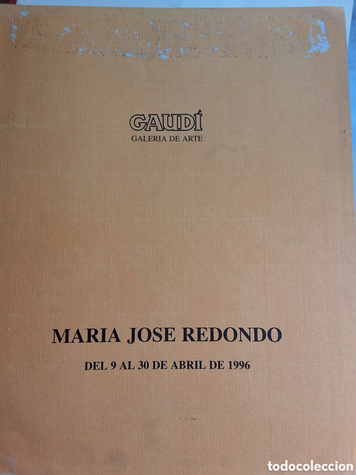 Libros de segunda mano: Maria Jos&eacute; Redondo catalogo exposici&oacute;n pintura a&ntilde;o 1996/4