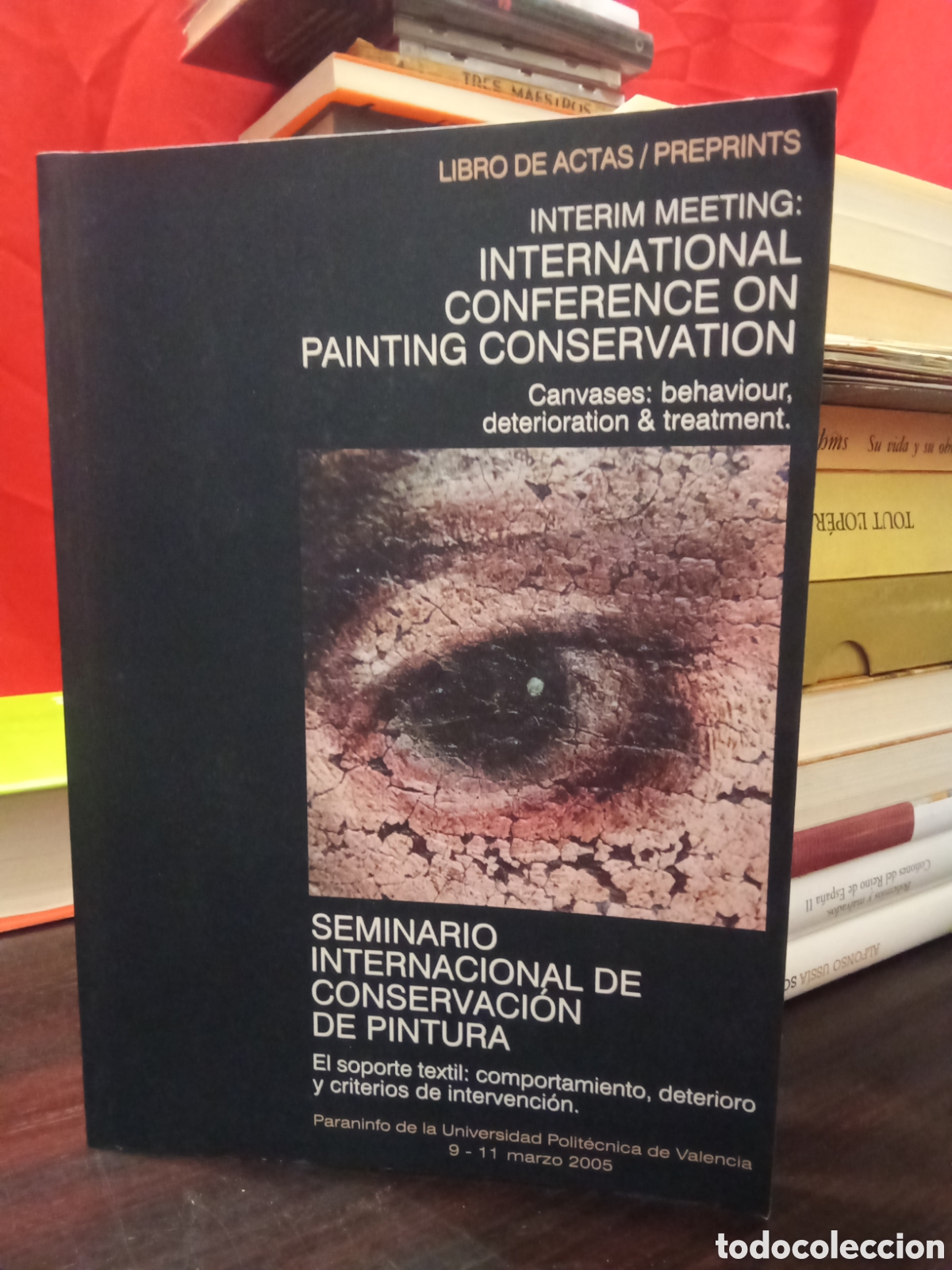 Libros de segunda mano: SEMINARIO INTERNACIONAL DE CONSERVACI&Oacute;N DE PINTURA - VALENCIA