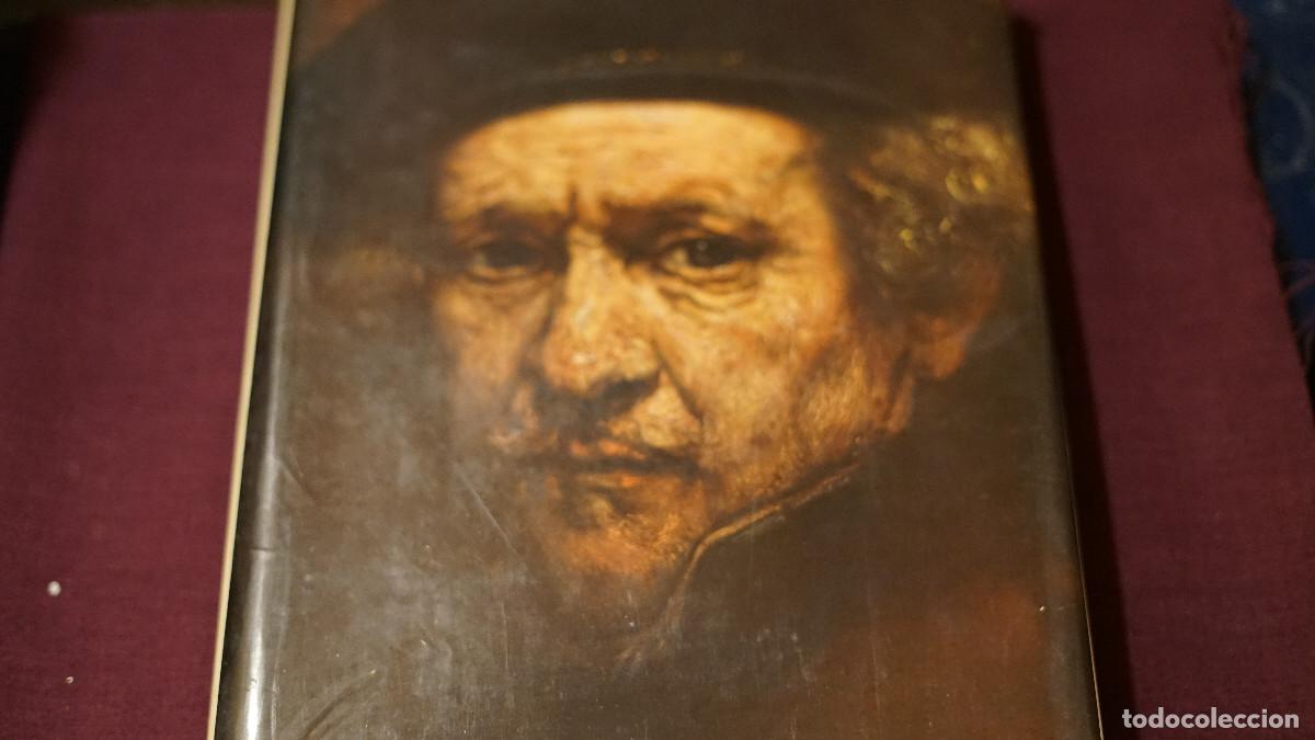 Libros de segunda mano: La pintura holandesa - Skira