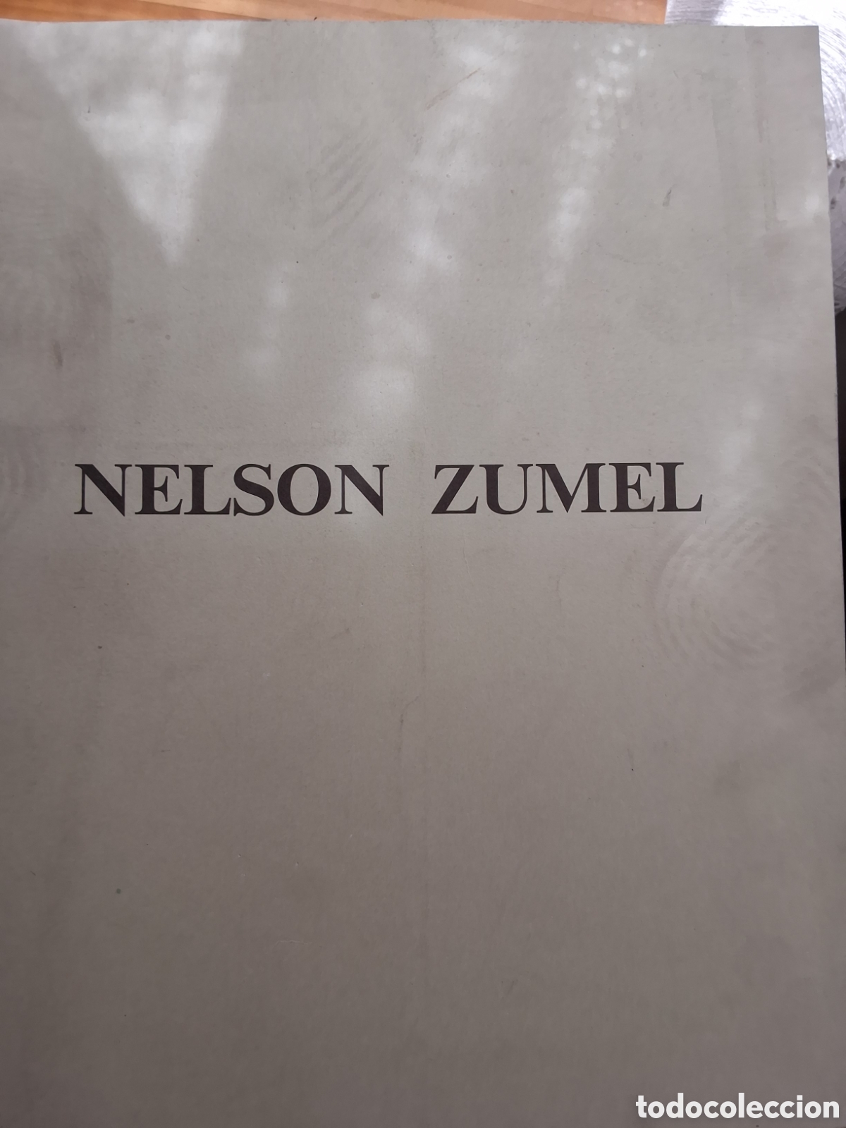 Libros de segunda mano: Nelson Zumel catalogo exposici&oacute;n pintura a&ntilde;o 1991/12 sala Dur&aacute;n