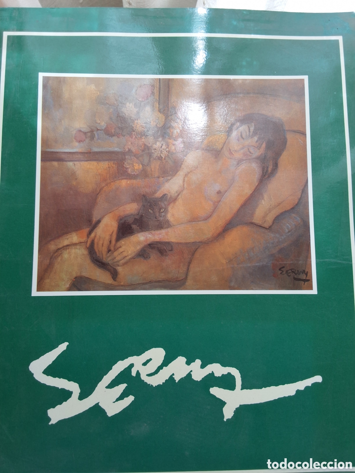 Libros de segunda mano: Serny catalogo exposici&oacute;n pintura a&ntilde;o 1988