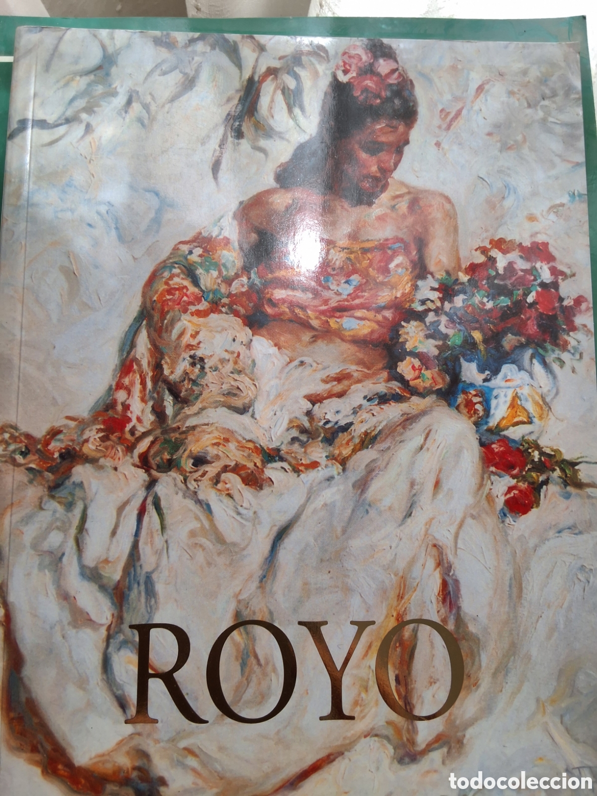 Libros de segunda mano: Royo Jos&eacute; catalogo exposici&oacute;n pintura a&ntilde;o 1995 sala sokoa
