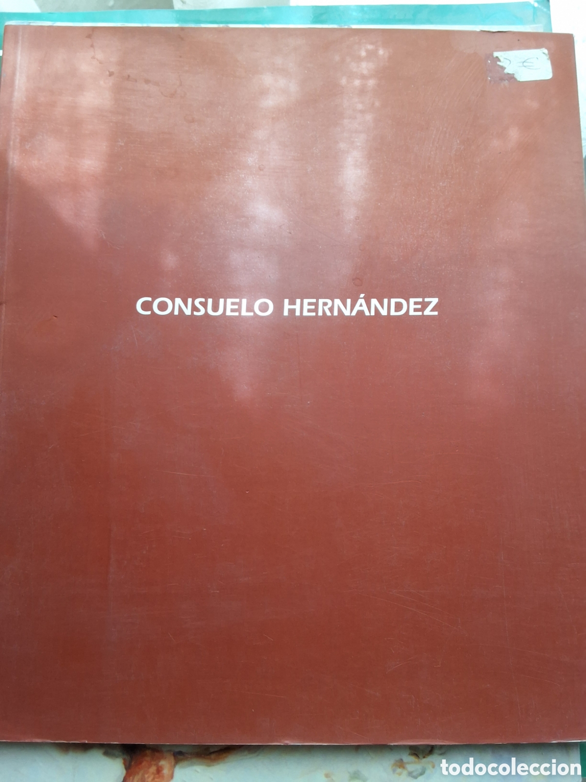 Libros de segunda mano: Consuelo Hern&aacute;ndez catalogo exposici&oacute;n pintura sala Santa Barbara