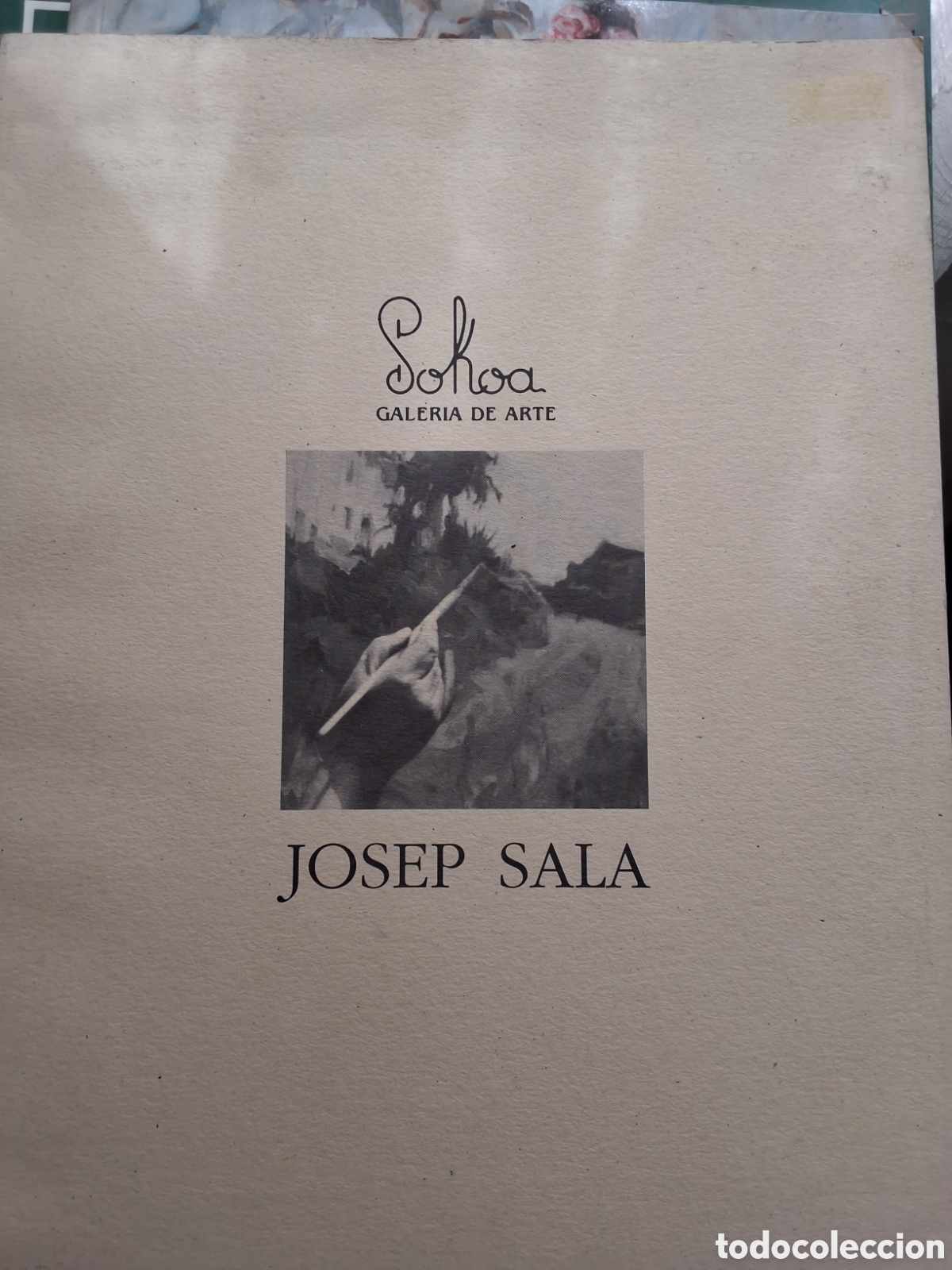 Libros de segunda mano: Josep Sala catalogo exposici&oacute;n pintura a&ntilde;o 1993/5 galeria sokoa