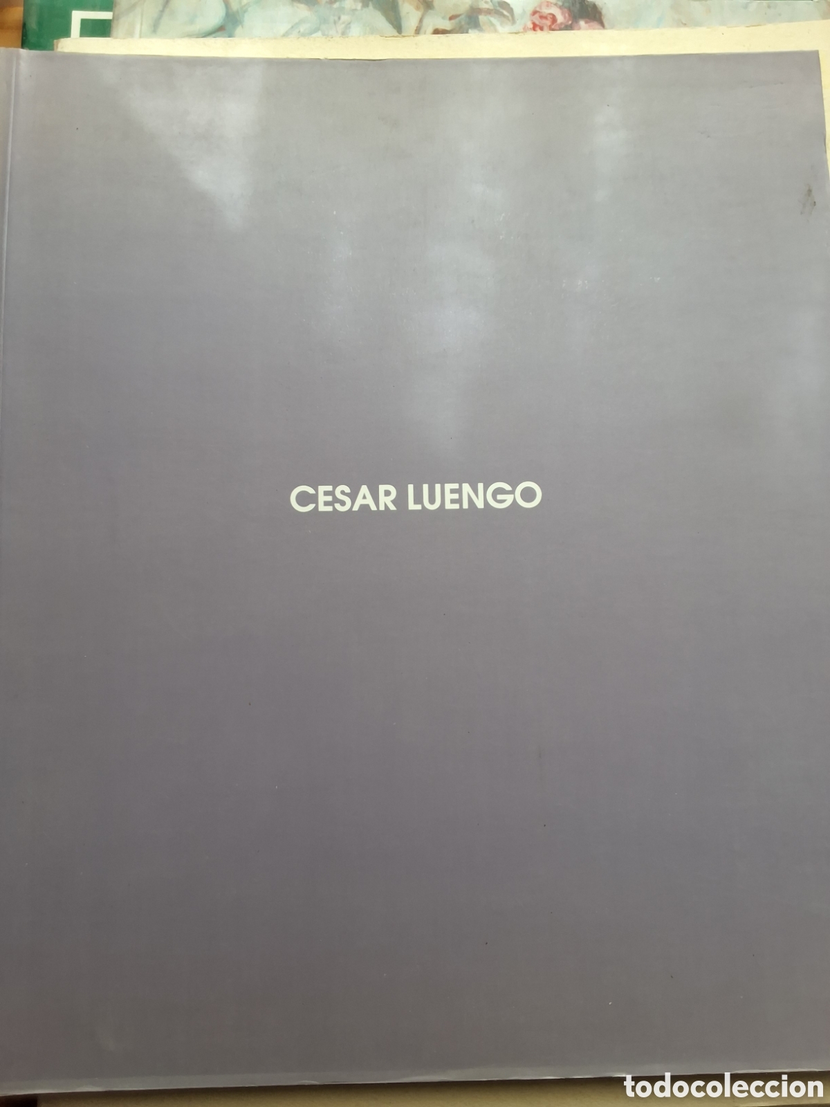 Libros de segunda mano: Cesar Luengo catalogo exposici&oacute;n pintura a&ntilde;o 1995/10 galer&iacute;a Leandro Navarro