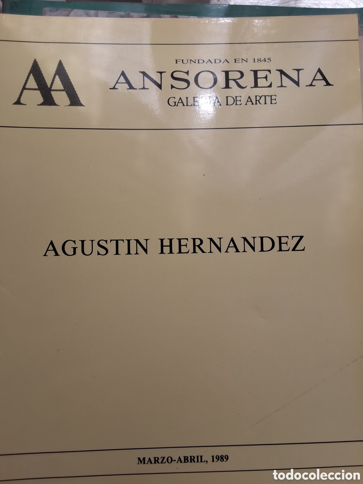 Libros de segunda mano: Agust&iacute;n Hern&aacute;ndez catalogo exposici&oacute;n pintura a&ntilde;o 1989/3 galeria Duran