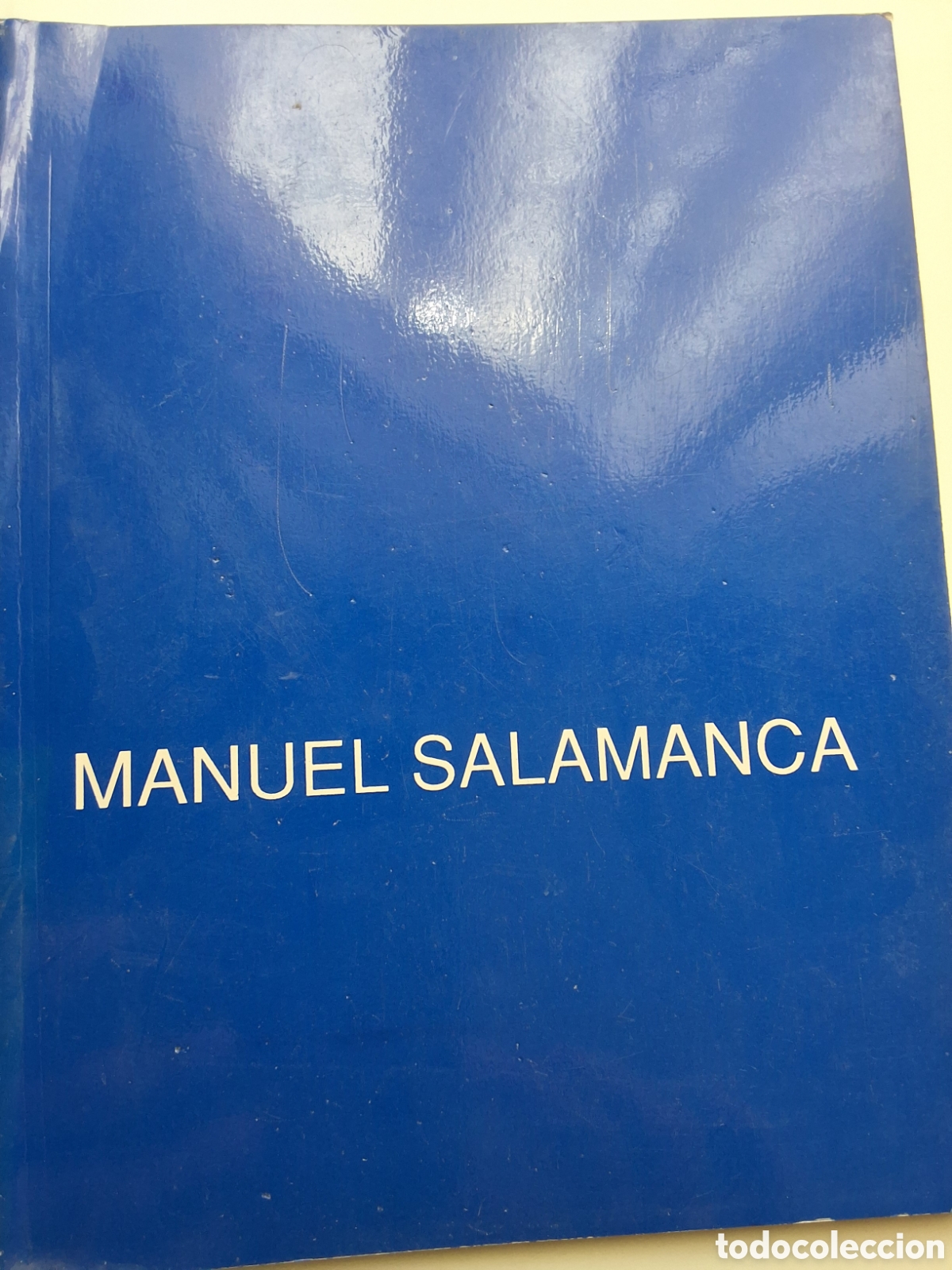 Libros de segunda mano: Manuel Salamanca catalogo exposici&oacute;n pintura a&ntilde;o 1991/1 Sala Gaspar