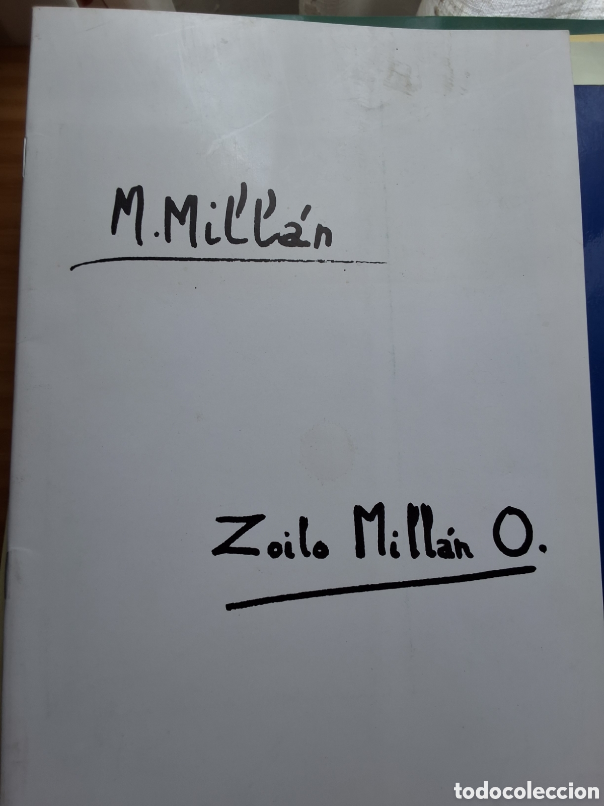 Libros de segunda mano: Manuel y Zoilo Milllan catalogo exposici&oacute;n pintura a&ntilde;o 1991/4 galer&iacute;a Dur&aacute;n