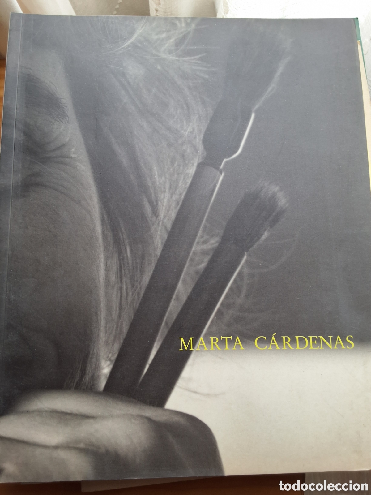 Libros de segunda mano: Marta C&aacute;rdenas catalogo exposici&oacute;n pintura a&ntilde;o 1993/12 galer&iacute;a soledad lorenzo
