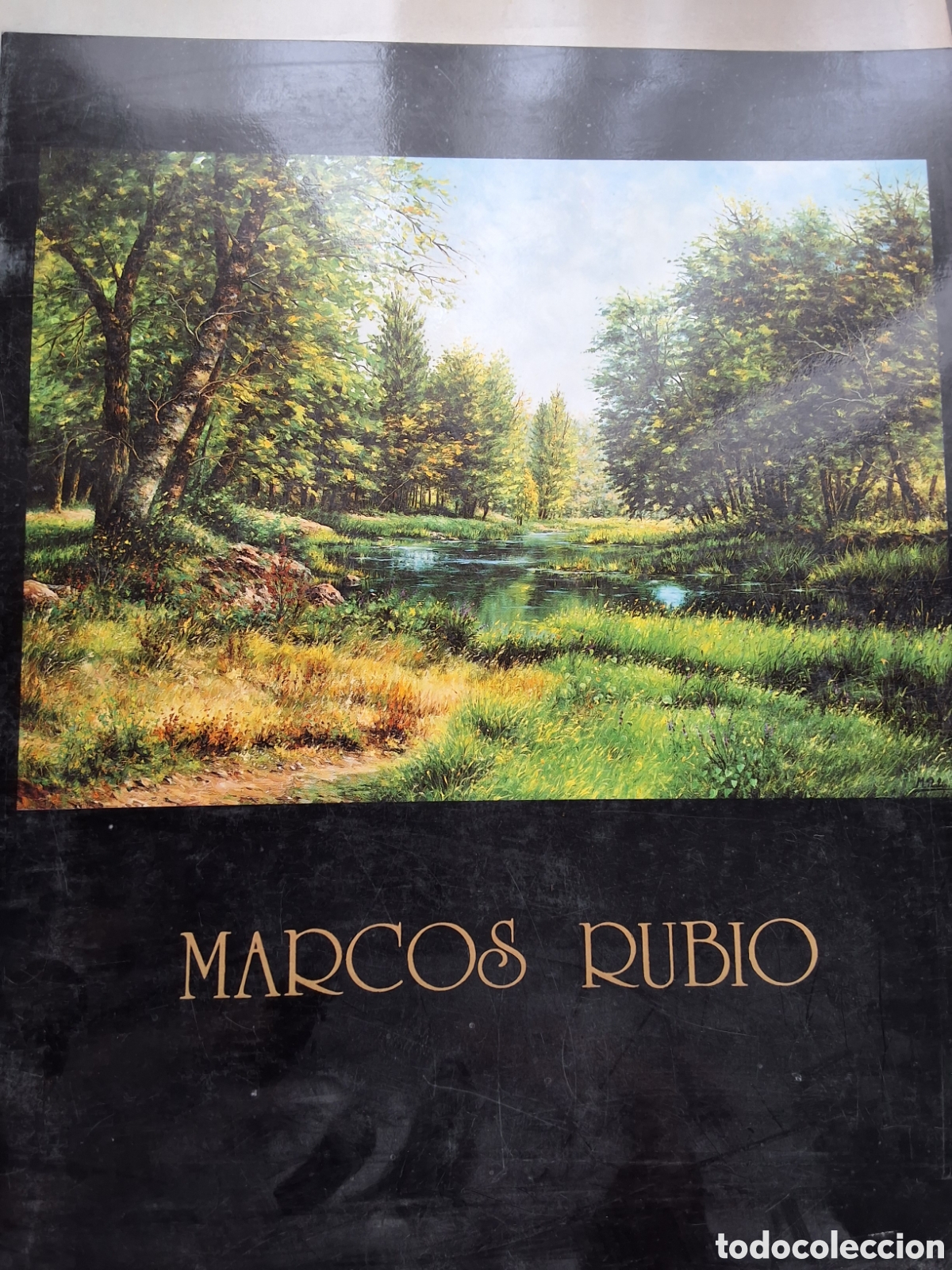 Libros de segunda mano: Marcos Rubio catalogo exposici&oacute;n pintura a&ntilde;o 1991/5