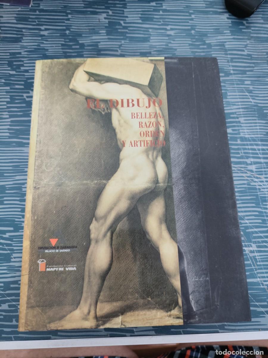Libros de segunda mano: EL DIBUJO, BELLEZA,RAZON,ORDEN Y ARTIFICIO, DIPUTACI&Oacute;N DE ZARAGOZA,1992,315 PAG.