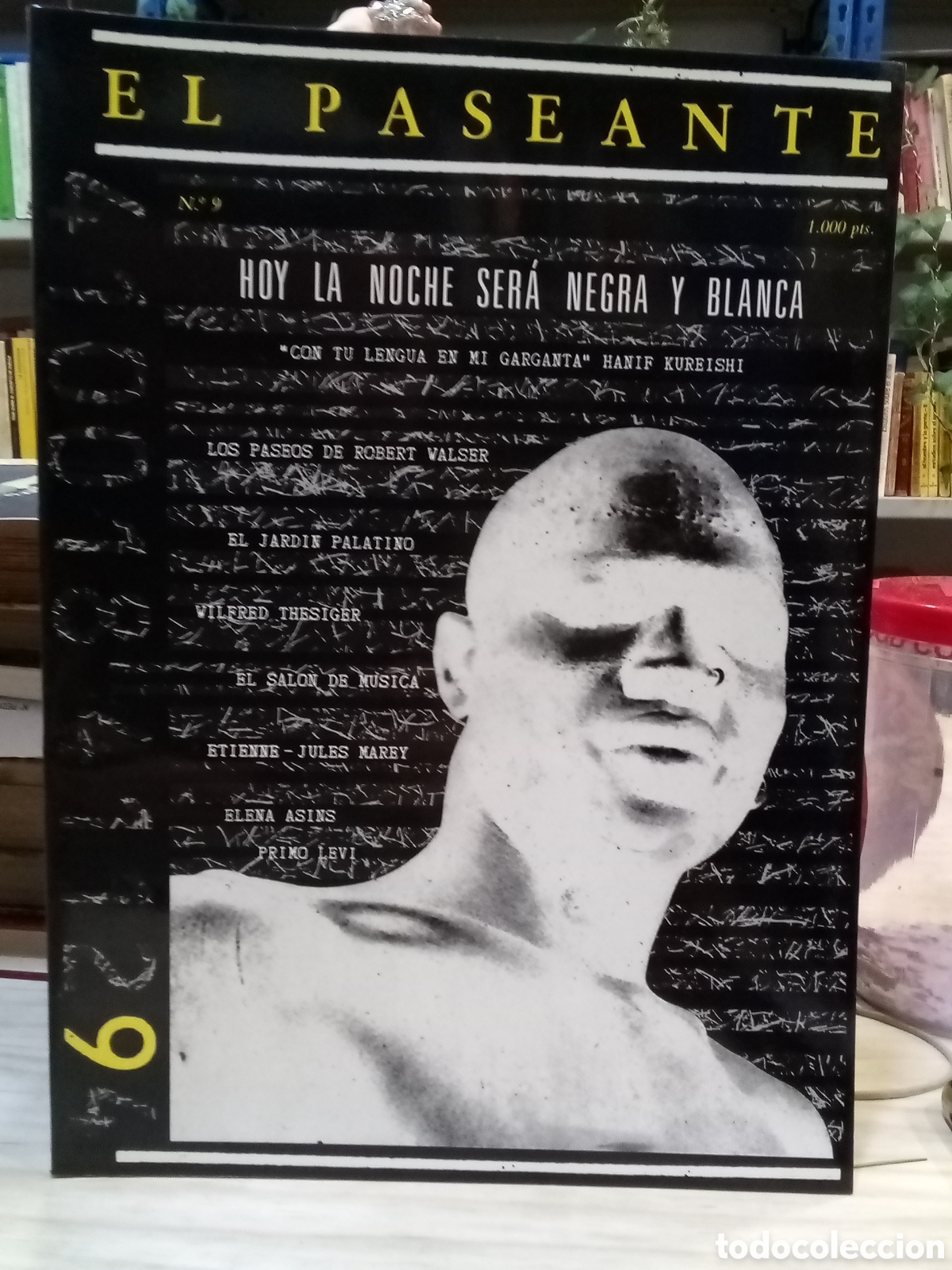 Gebrauchte B&uuml;cher: Revista El Paseante n&deg; 9, 1988
