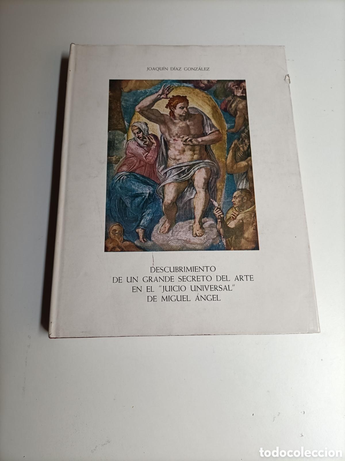Libros de segunda mano: Descubrimientos de un gran de secreto del arte en el Juicio universal de Miguel &Aacute;ngel