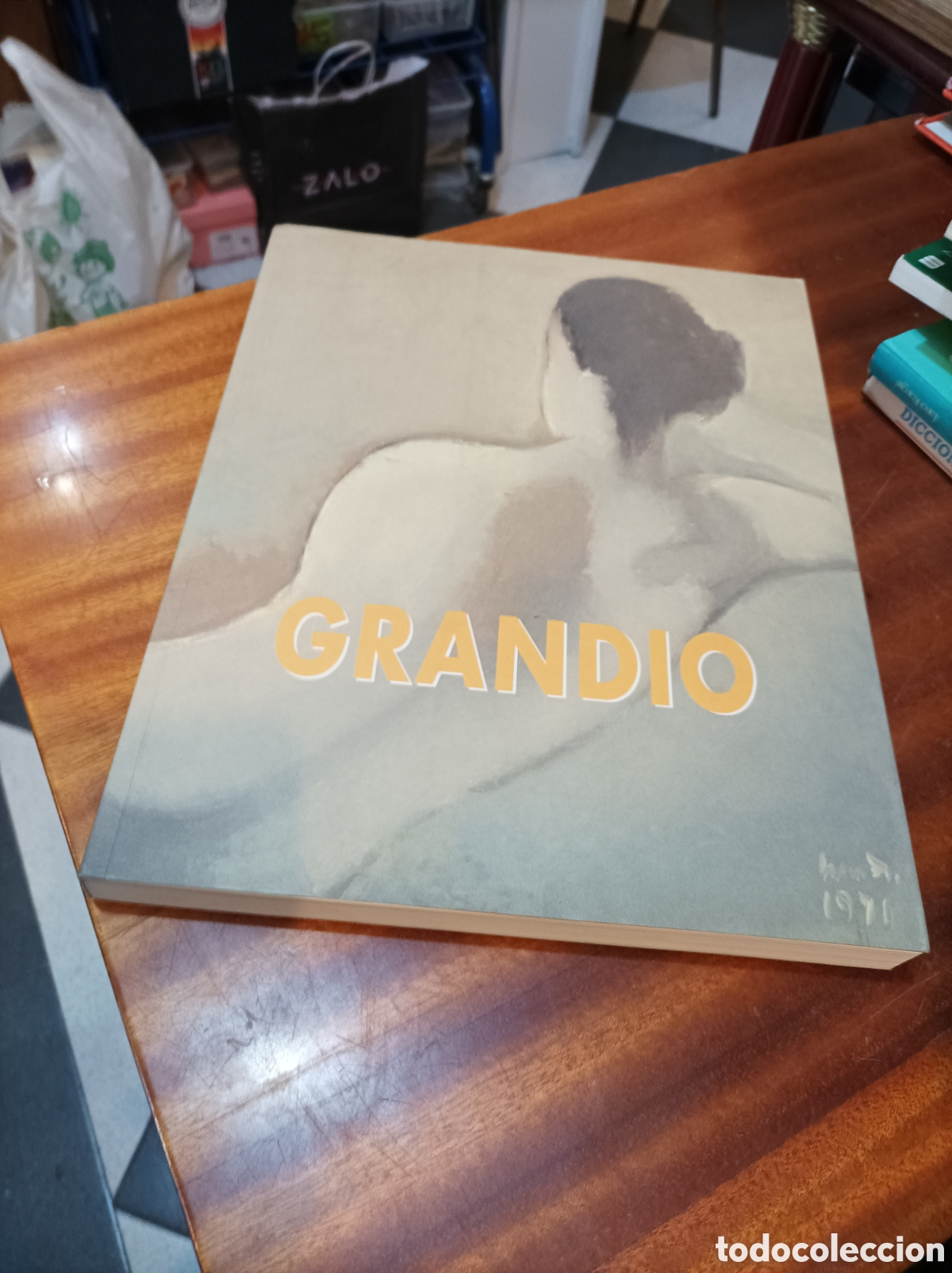 Libros de segunda mano: TINO GRANDIO . CAT&Aacute;LOGO EXPOSICI&Oacute;N MUSEO DO POBO GALEGO.1993