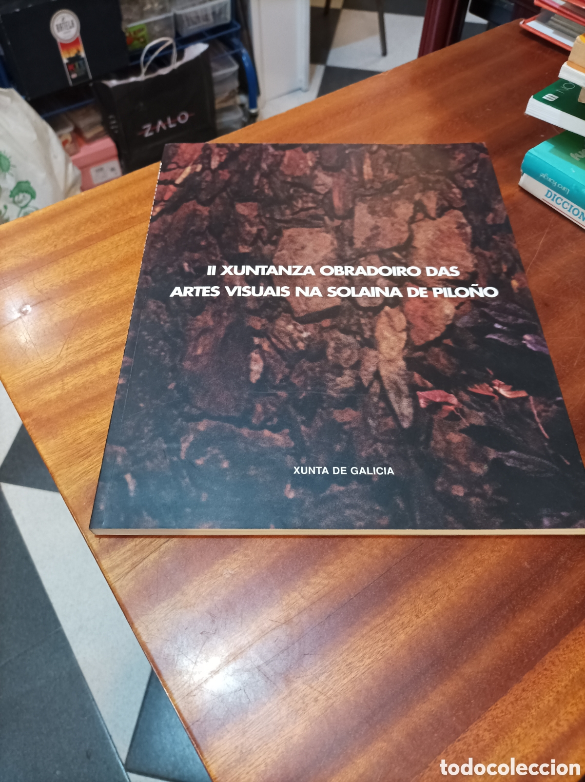 Libros de segunda mano: II XUNTANZA OBRADOIRO DAS ARTES NA SOLAINA DE PILO&Ntilde;O...XUNTA DE GALICIA.