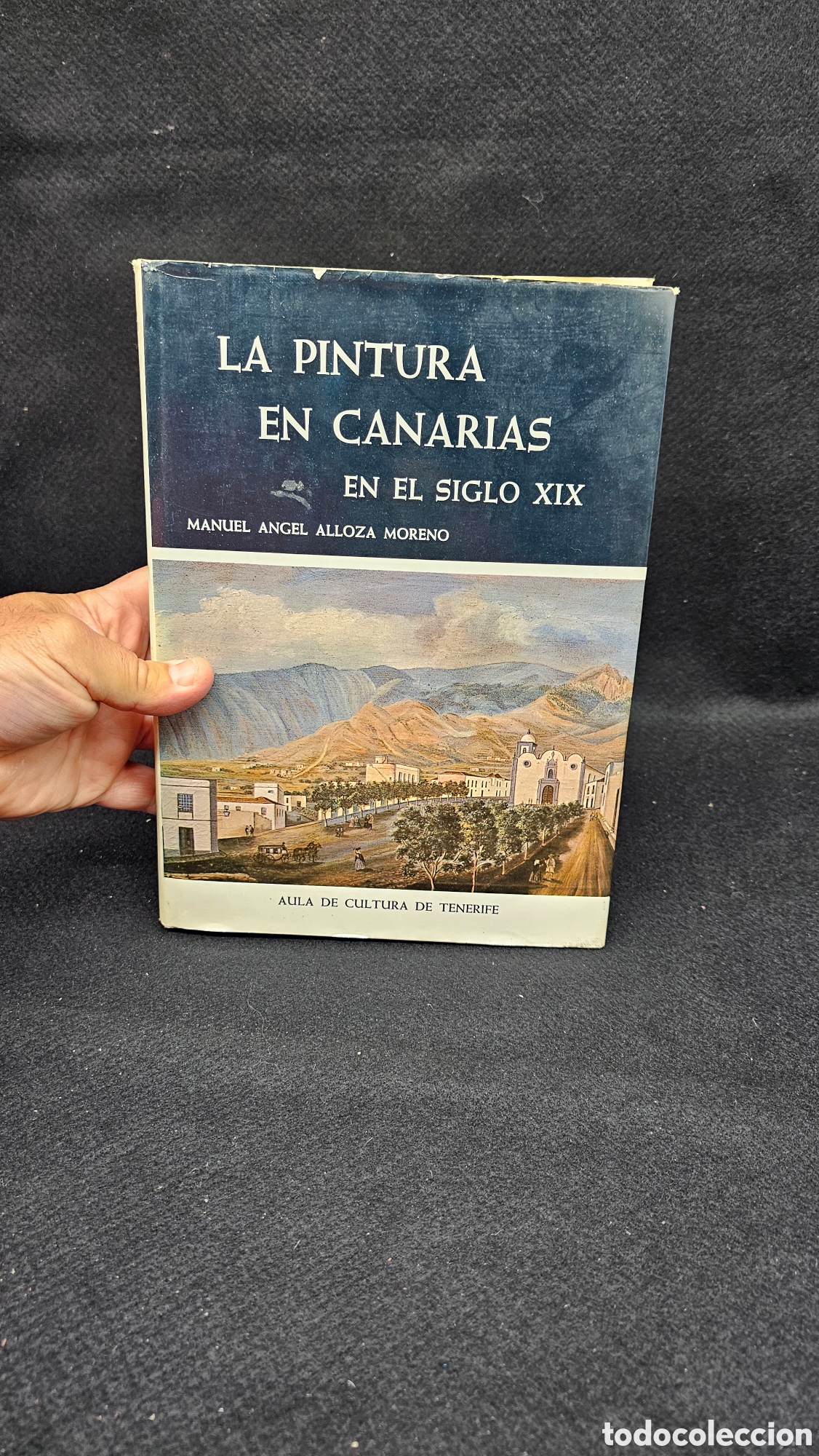 Libros de segunda mano: La pintura de Canarias en el siglo XIX ( 1981 )