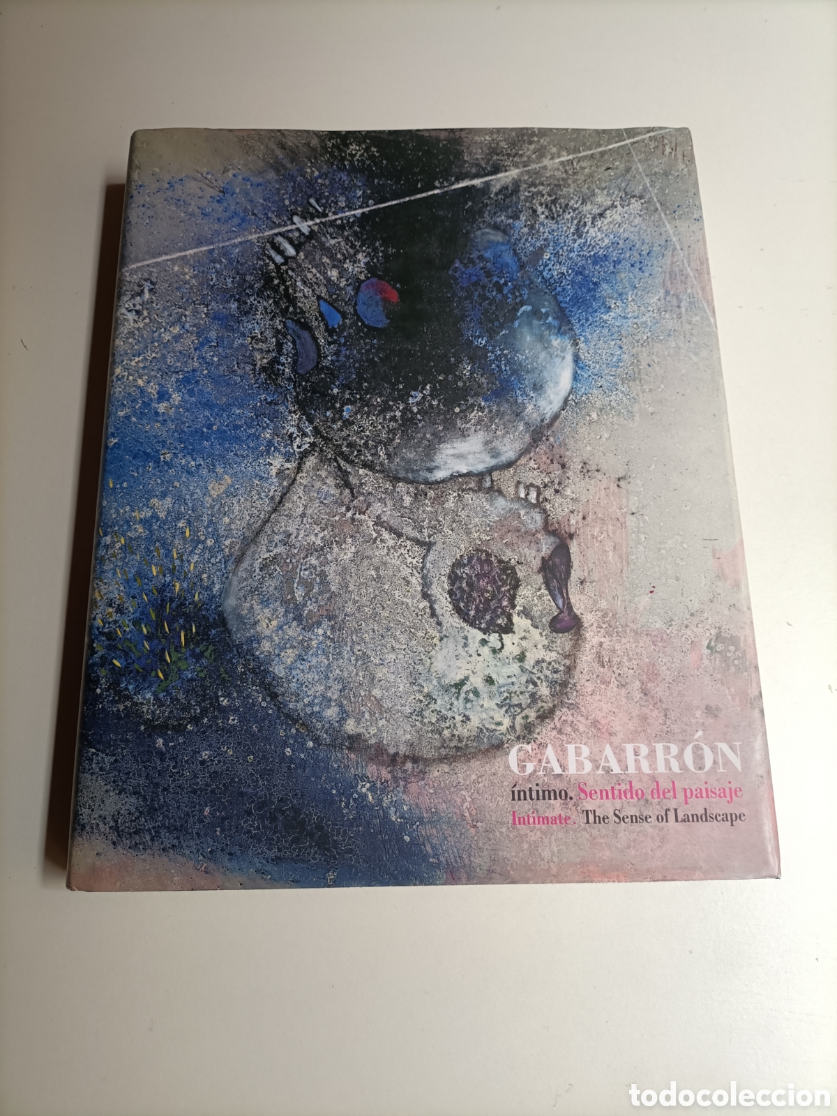 Libros de segunda mano: Gabarr&oacute;n &iacute;ntimo. Sentido del paisaje.. Murcia 2006 pintura escultura arte siglo XX XXI