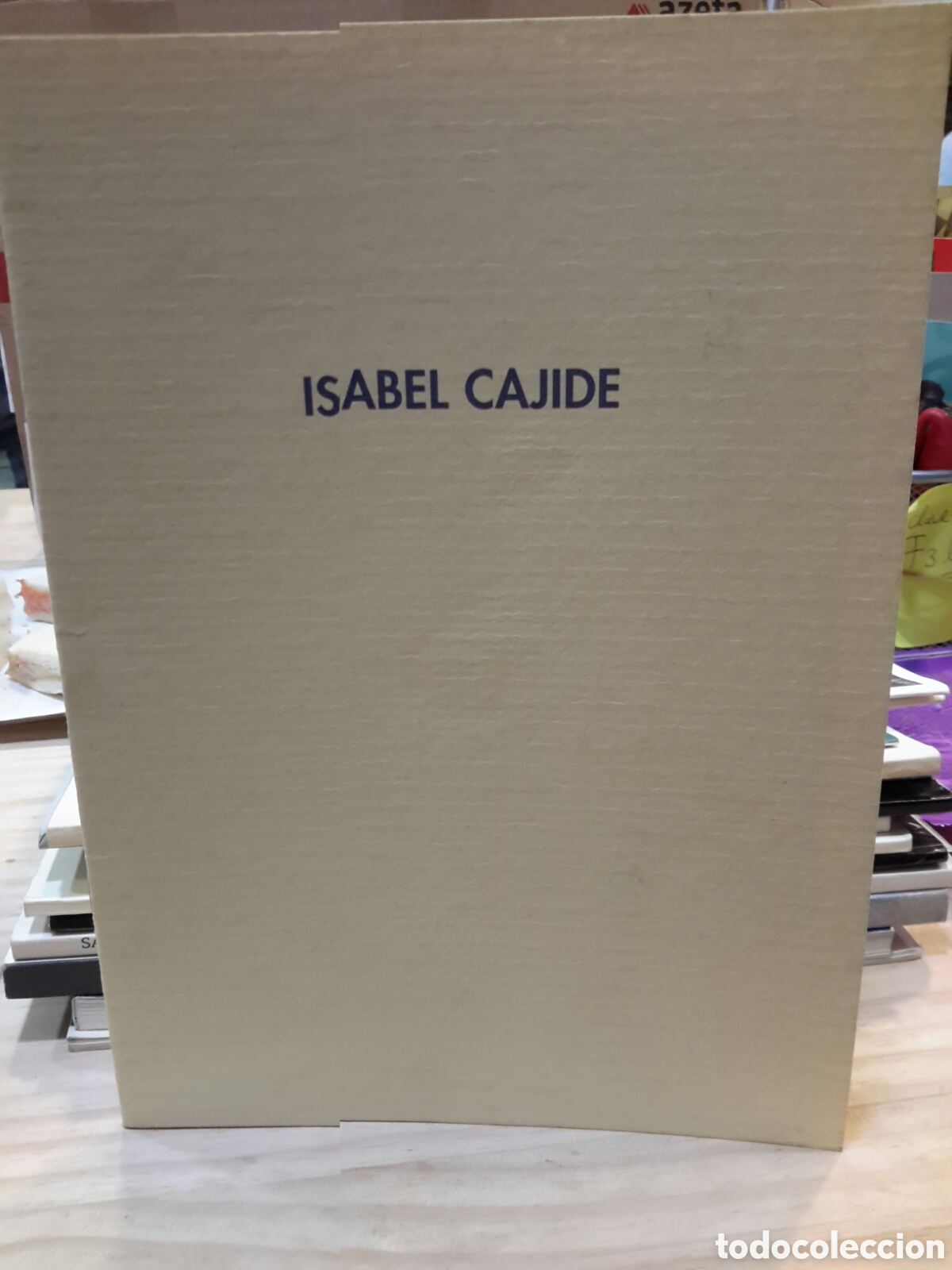 Libros de segunda mano: Isabel Cajide Pinturas - Foto 1