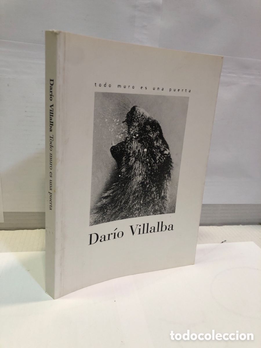 Gebrauchte B&uuml;cher: Dar&iacute;o Villalba - todo muro es una puerta