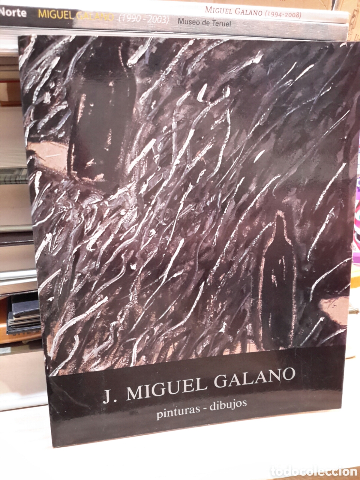 Gebrauchte B&uuml;cher: J. Miguel Galano pinturas - dibujos