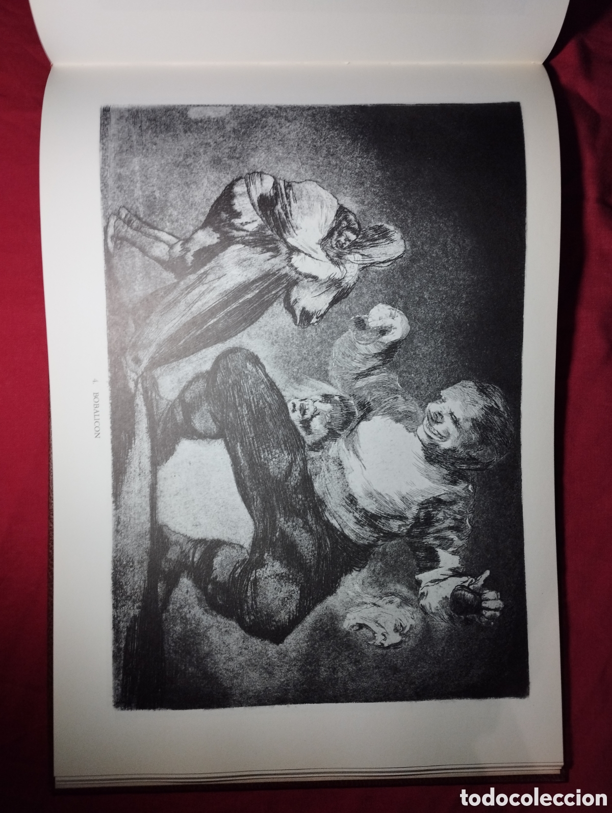 Libros de segunda mano: Magn&iacute;fico Libro Los Disparates Goya - Foto 3